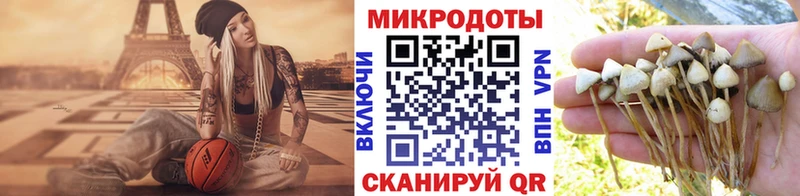 Галлюциногенные грибы мицелий Яранск