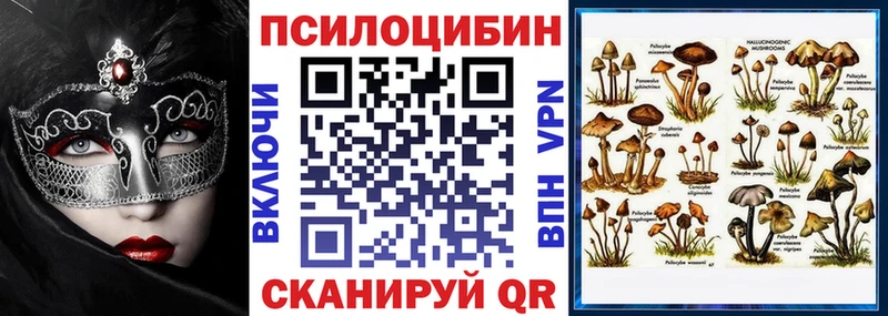 Галлюциногенные грибы Psilocybine cubensis  KRAKEN зеркало  Яранск 